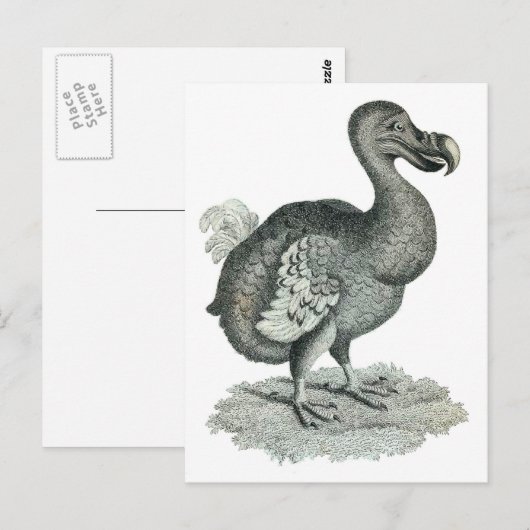 Vogelafdrukken doen briefkaart (Voorkant / Achterkant)