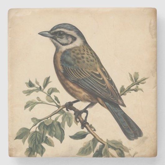  vogelafdrukken stenen onderzetter (Voorkant)