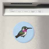 Vogelbare Calliope Hummingbird Magneet (Insitu (Vaatwasser))
