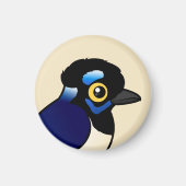 vogelbare pluche-crested jay magneet (Voorkant)
