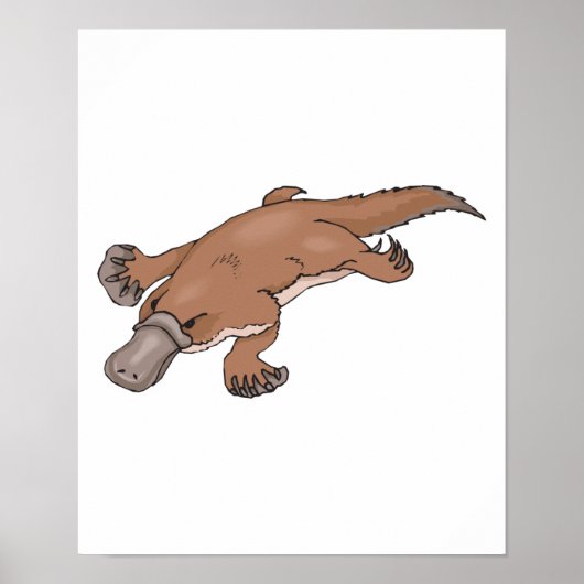 vogelbekdier poster (Voorkant)