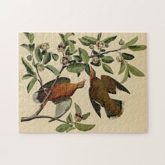  vogelbeklimming legpuzzel (Horizontaal)