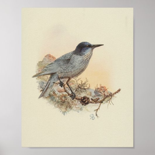 vogelblauw gespikkelde print (Voorkant)