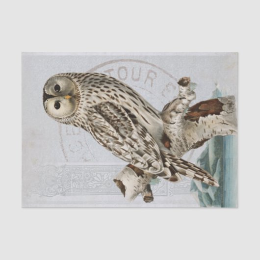 vogelblauwe ontkoppelingspagina Frans poststempel Tissuepapier (Voorkant)