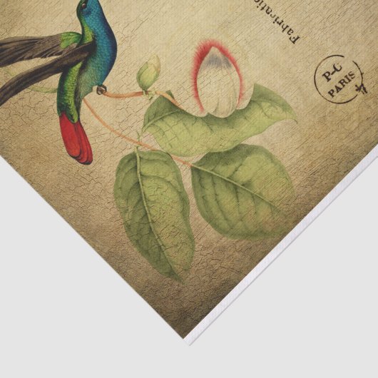 vogelbloemen Franse Tissuepapier (Detail)