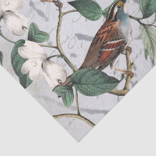 Vogelbloemetje Butterfly French Script Blue Tissuepapier (Detail)