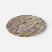 Vogelbomen in een bos (Roerich) Papieren Bordje (Gekanteld)