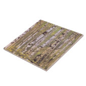 Vogelbomen in een bos (Roerich) Tegeltje (Zijkant)