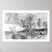  vogelboom 1800 Antiek Poster (Voorkant)