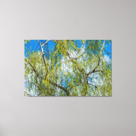 Vogelboom - De lente is in de lucht. Canvas Afdruk