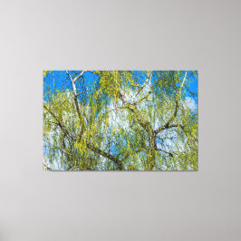 Vogelboom - De lente is in de lucht. Canvas Afdruk