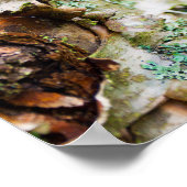 Vogelboom, maïs poster (Hoek)