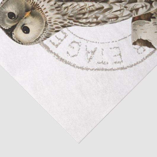 vogelboom ontkoppelen Franse poststempel Tissuepapier (Detail)