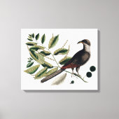 vogelbotanisch canvas afdruk (Voorkant)