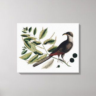 vogelbotanisch canvas afdruk