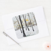 Vogelbox Studie Ohlsdorf 2013 Vierkante Sticker (Envelop)