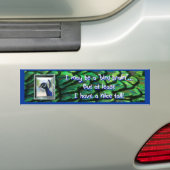 Vogelbrein, Bumpersticker, met pacock omhuld hoofd Bumpersticker (Op auto)
