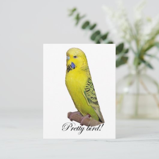  vogelbriefkaart briefkaart (Staand voorkant)