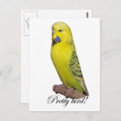 vogelbriefkaart briefkaart (Voorkant / Achterkant)