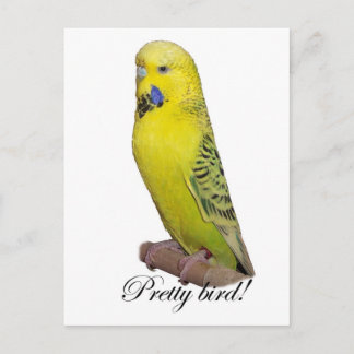 vogelbriefkaart briefkaart