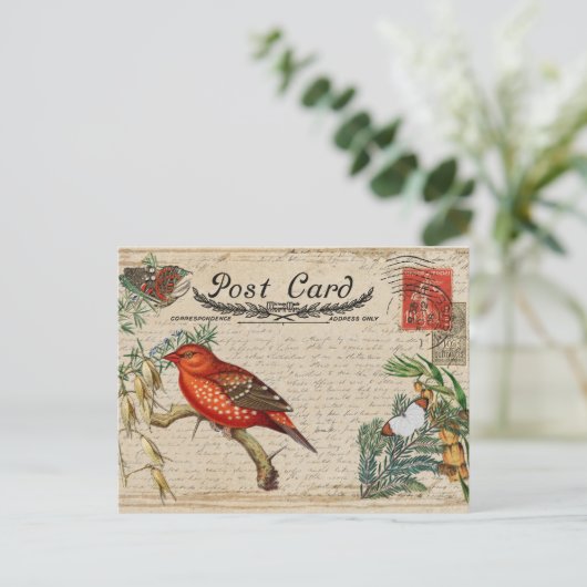  vogelBriefkaart Briefkaart (Staand voorkant)