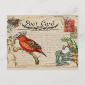 vogelBriefkaart Briefkaart (Voorkant)