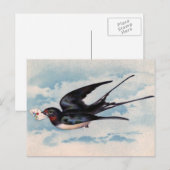 vogelBriefkaart Briefkaart (Voorkant / Achterkant)