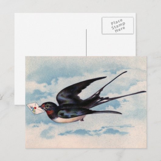  vogelBriefkaart Briefkaart (Voorkant / Achterkant)