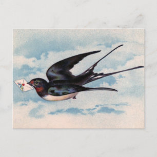 vogelBriefkaart Briefkaart