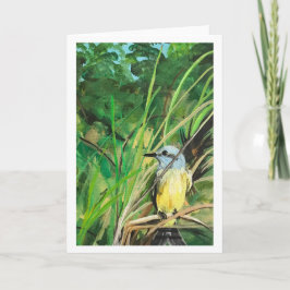 Vogelbriefkaart Kaart