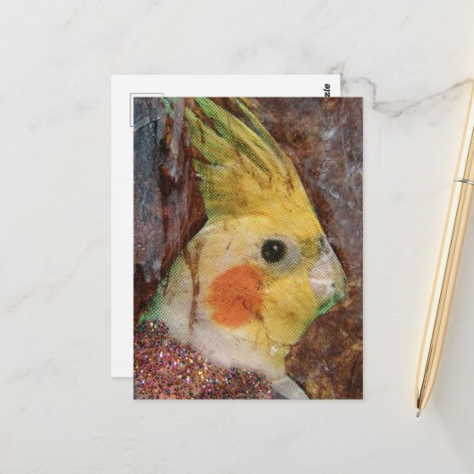 Vogelcollage Briefkaart (Voorkant / Achterkant in situ)