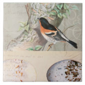  vogelcollage Eg Botanisch Manuscript Ephemera Tegeltje (Voorkant)