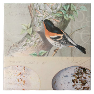 vogelcollage Eg Botanisch Manuscript Ephemera Tegeltje
