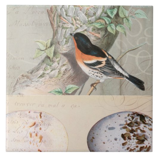 vogelcollage Eg Botanisch Manuscript Ephemera Tegeltje (Voorkant)