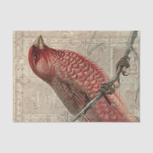  vogelcollage tissuepapier (Voorkant)