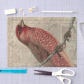  vogelcollage tissuepapier (Craft)