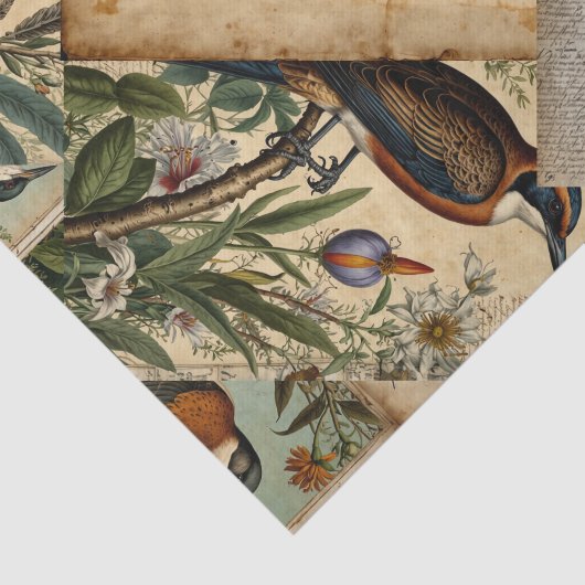  vogelcollage tissuepapier (Detail)