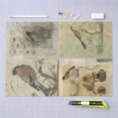  vogelcollages tissuepapier (Craft)