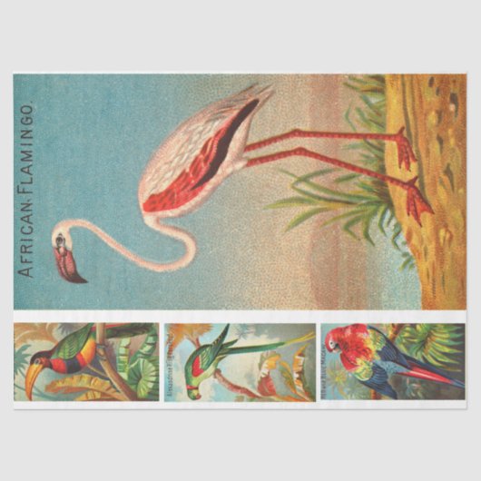 VogelCollectie Flamingo 2c  ontkoppeling Tissuepapier (Voorkant)