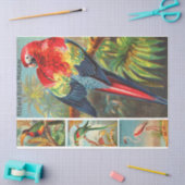 VogelCollectie Macaw 2d ontkoppeling Tissuepapier (Craft)