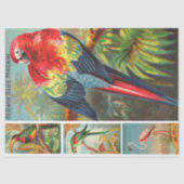 VogelCollectie Macaw 2d ontkoppeling Tissuepapier (Voorkant)