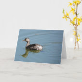 VogelCollectie: Minst-en-klauwzeer (blanco noten) Kaart (Gele Bloem)