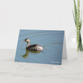 VogelCollectie: Minst-en-klauwzeer (blanco noten) Kaart