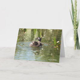 VogelCollectie: Minst-en-klauwzeer (blanco noten) Kaart