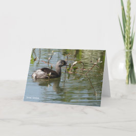 VogelCollectie: Minst-en-klauwzeer (blanco noten) Kaart