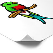 Vogelcollectie Poster (Hoek)