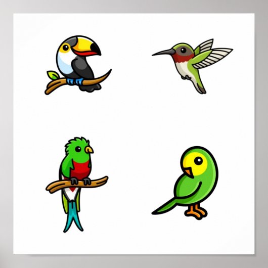 Vogelcollectie Poster (Voorkant)