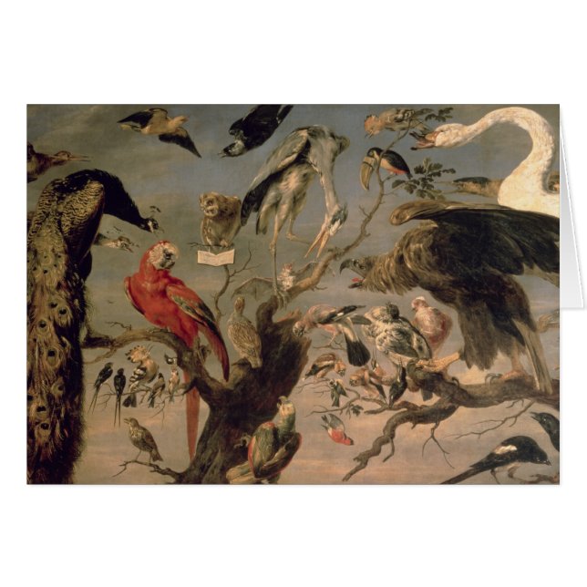 Vogelconcert (Voorkant Horizontaal)