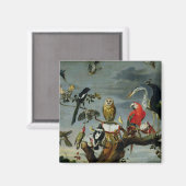 Vogelconcert Magneet (Voorkant / Achterkant)