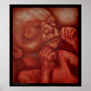 Vogelcontrole Poster